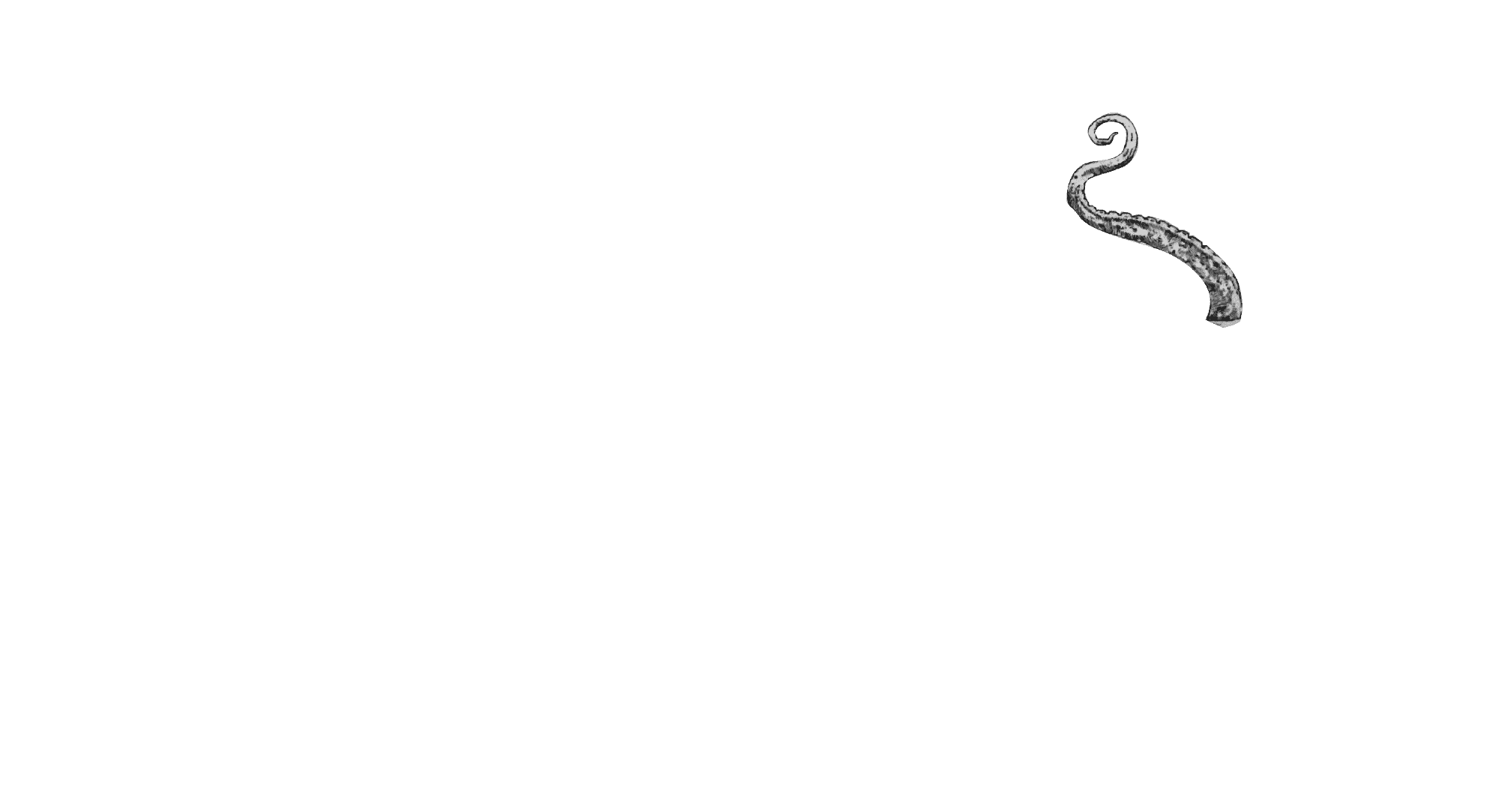 arm